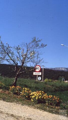 Acedo. N. FSS_FJJ_S.1/SS.003-005