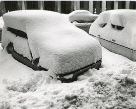 Temporal de nieve. N. FSS_AG_S9/N.0059-005