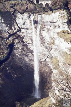 Goiuri. N. FSS_FJJ_S.1/SS.109-002