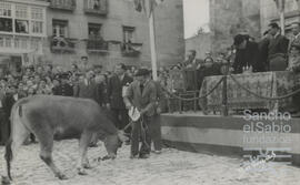 Concursos anuales de ganado. N. C.V._C.M._CAJA MUNICIPAL,S.3,SS.3.1-010