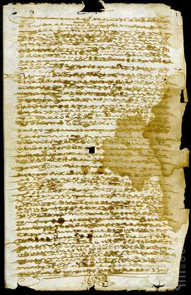 Información de limpieza de sangre e hidalguía de Antonio de Ortega.