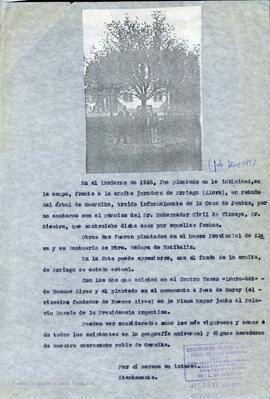 Escrito de Bernardo de Mesanza sobre los 5 retoños existentes del Árbol de Guernica.