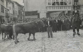 Concursos anuales de ganado. N. C.V._C.M._CAJA MUNICIPAL,S.3,SS.3.1-004