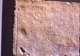 Tobillas. N. FSS_FJJ_S.1/SS.267-001
