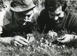 Dos hombres cogiendo perretxikos. N. FSS_AG_S8/N.0095-001