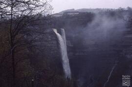 Goiuri. N. FSS_FJJ_S.1/SS.109-013