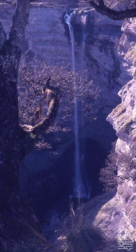 Goiuri. N. FSS_FJJ_S.1/SS.109-009