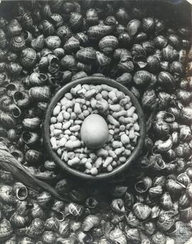 Platos gastronómicos. N. FSS_AG_S8/N.0093-003