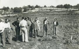 Actividades con la CAPA con fecha indeterminada.