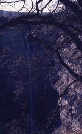Goiuri. N. FSS_FJJ_S.1/SS.109-010